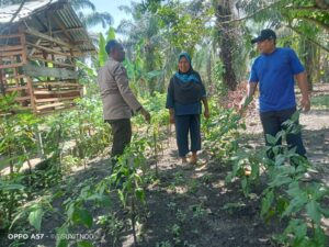 Bhabinkamtibmas Polsek Indrapura Dukung Program Ketahanan Pangan di Desa Tanjung Kasau