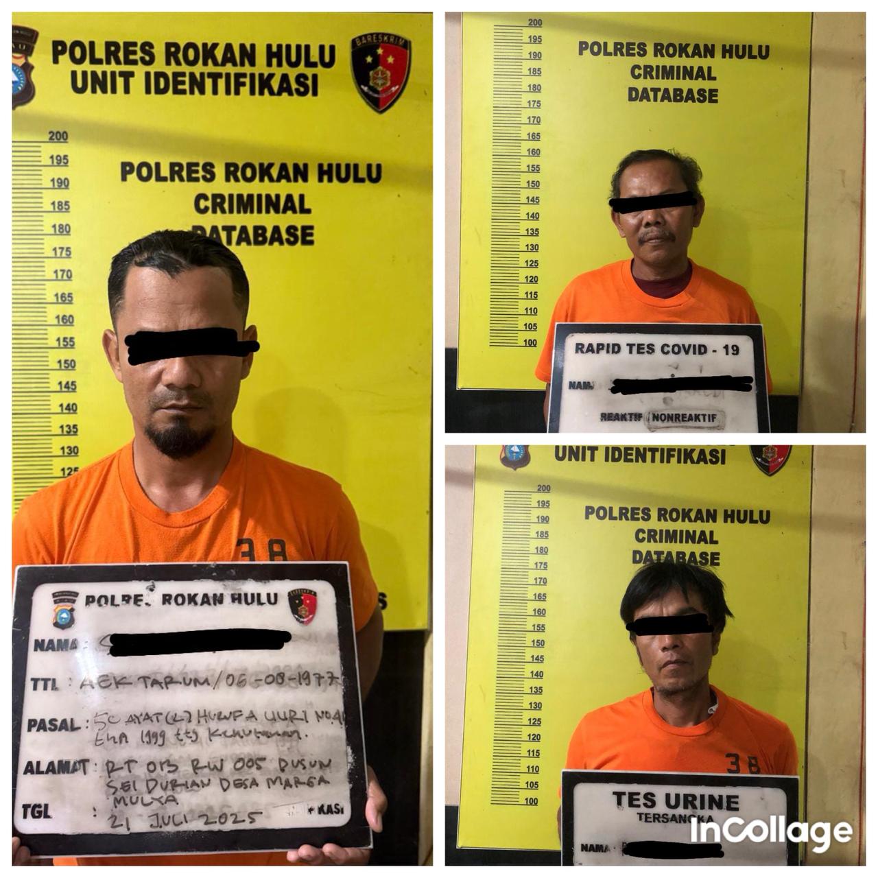 Karhutla Mengancam, Kapolres Rokan Hulu Tegas Tangani Pelaku Pembakaran : 3 Orang Telah Ditangkap