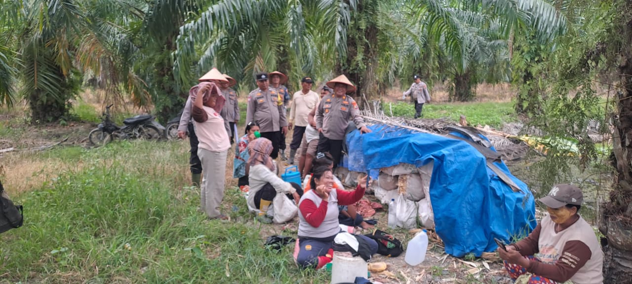 Panen Raya Jagung di Desa Bagan Baru: Dukungan Nyata untuk Ketahanan Pangan Nasional
