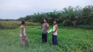Polsek Medang Deras Dorong Ketahanan Pangan dengan Distribusi Bibit Jagung