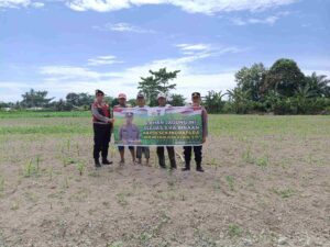 Polsek Indrapura Pantau Perawatan Lahan Jagung Binaan untuk Ketahanan Pangan
