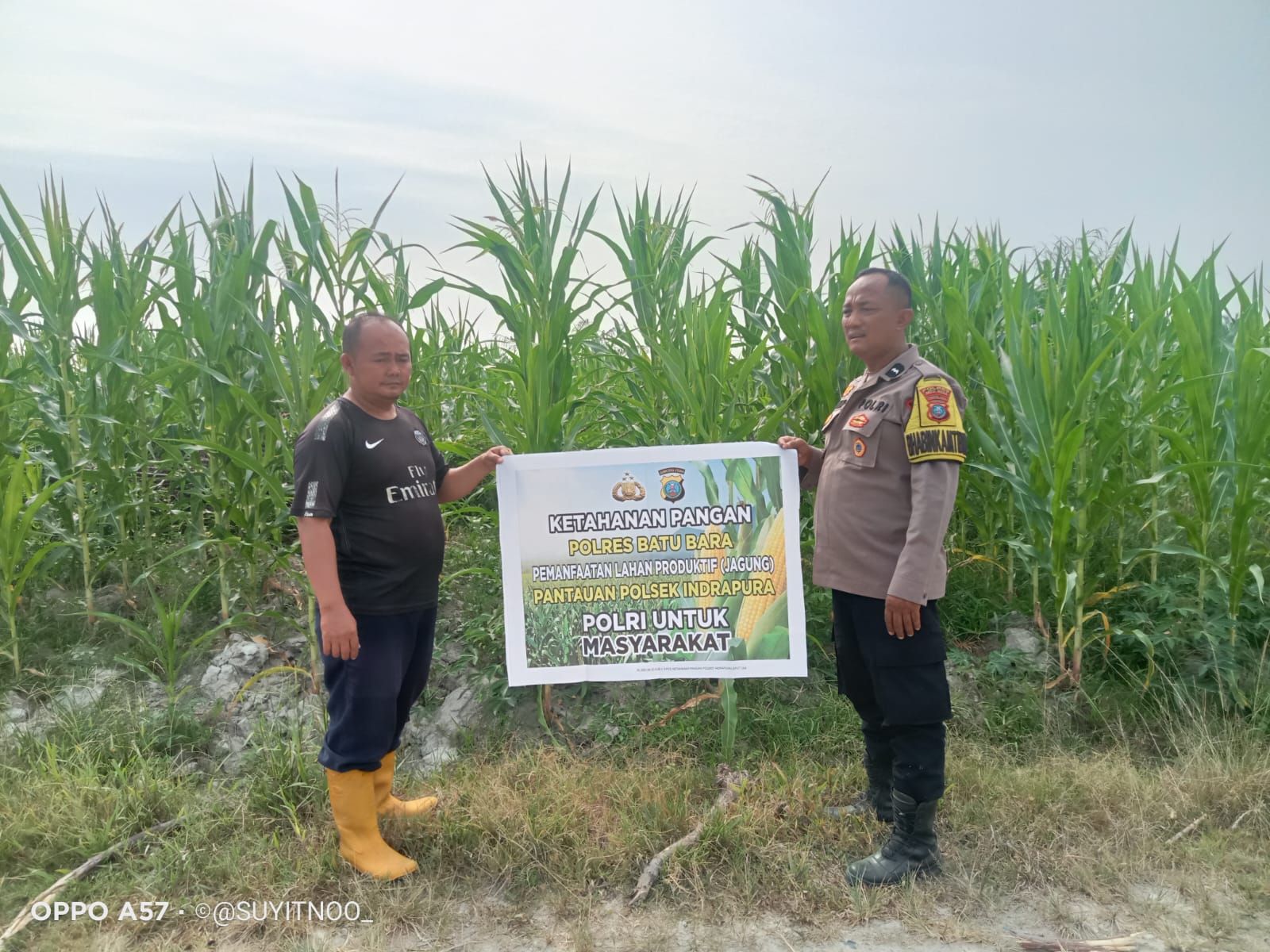 Polsek Indrapura Kawal Ketahanan Pangan, Cek Kondisi Lahan Jagung di Perkebunan Tanjung Kasau