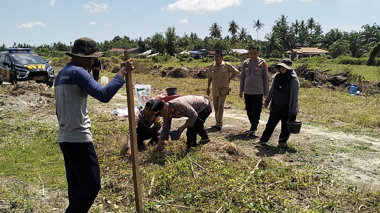 Kapolsek Lima Puluh Koordinasi dan Cek Lahan Pekarangan Ketapang untuk Ketahanan Pangan