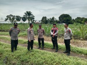 Kasat Binmas Polres Batu Bara Cek Lahan Jagung Binaan di PT MOEIS