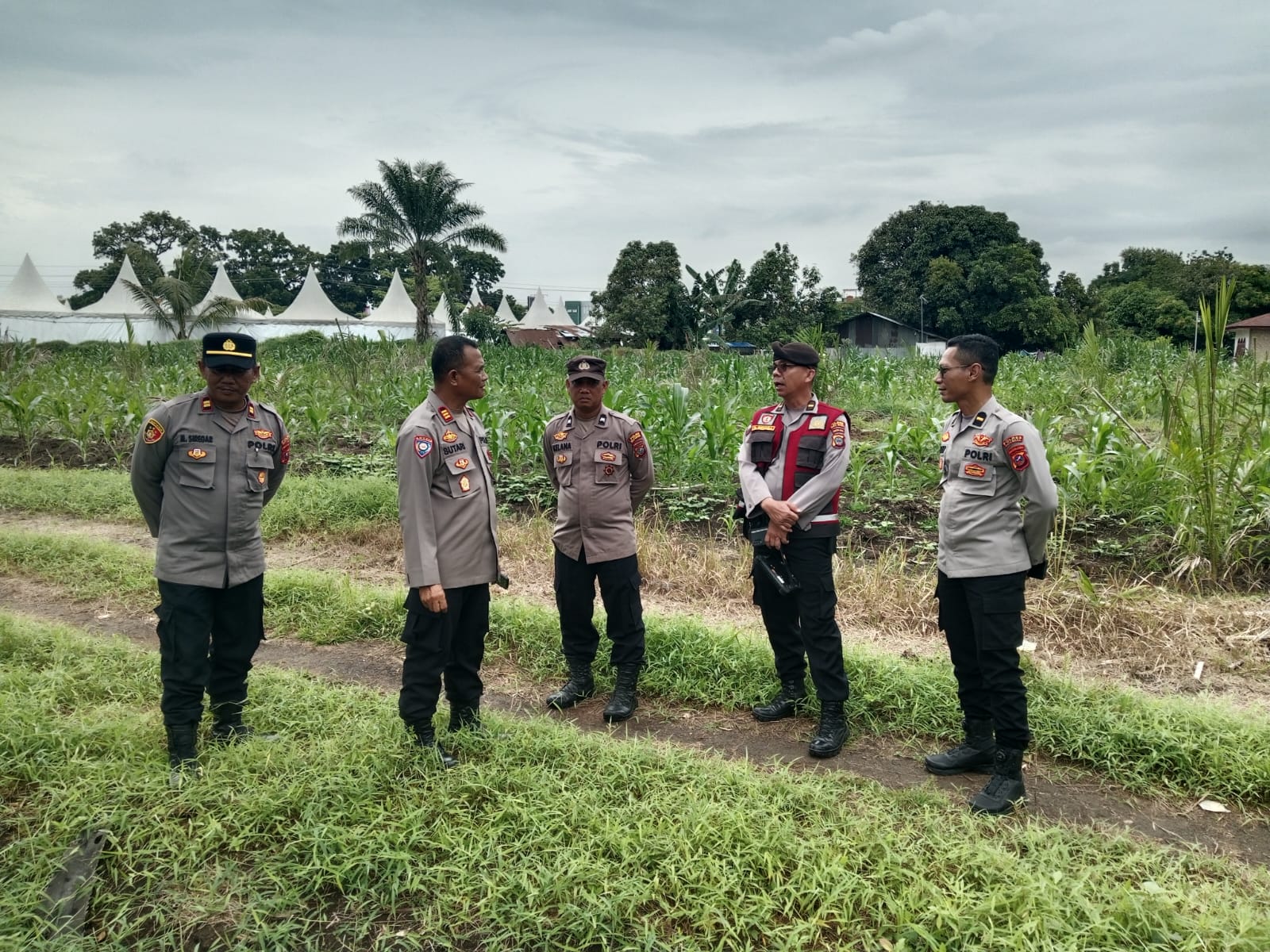 Kasat Binmas Polres Batu Bara Cek Lahan Jagung Binaan di PT MOEIS