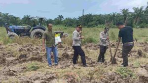 ‎Kapolsek Medang Deras Sambangi Lahan Jagung, Beri Dukungan Petani
