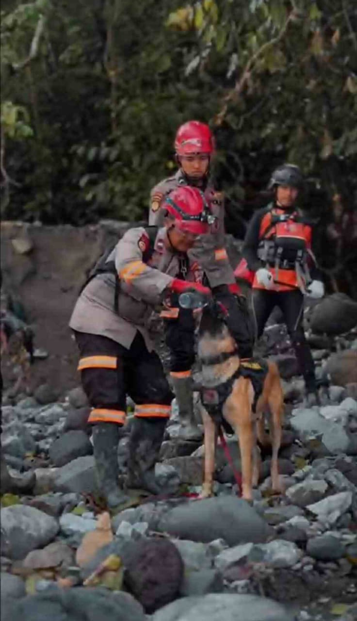 Haru!!! Kisah Kemanusiaan K-9 handler dan Kesetiaan Anjing Pelacak – K9