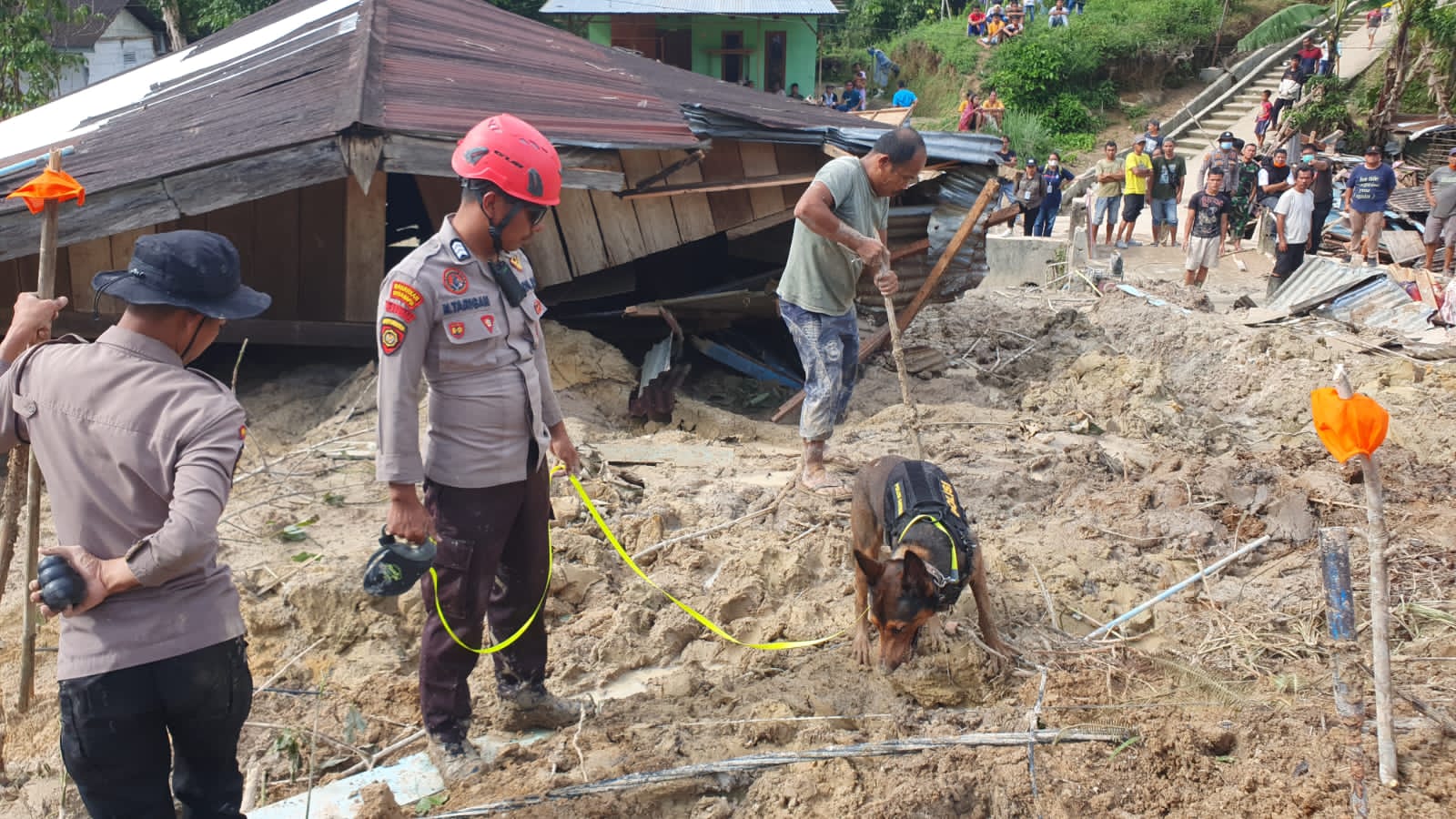 Ditpolsatwa Korsabhara Baharkam Polri dan Polda Sumut, Kerahkan Anjing Pelacak K-9 Cari Korban Bencana di Tapanuli Tengah