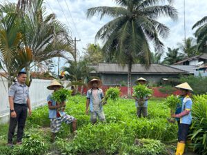 Lapas Labuhan Ruku Panen 150 Kg Kangkung, Bukti Komitmen Dukung Ketahanan Pangan