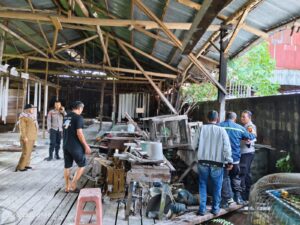 Demi Keselamatan Warga, Tim Rescue PPS Kalbar Taklukkan Buaya 60 Kg di Tanjung Hulu
