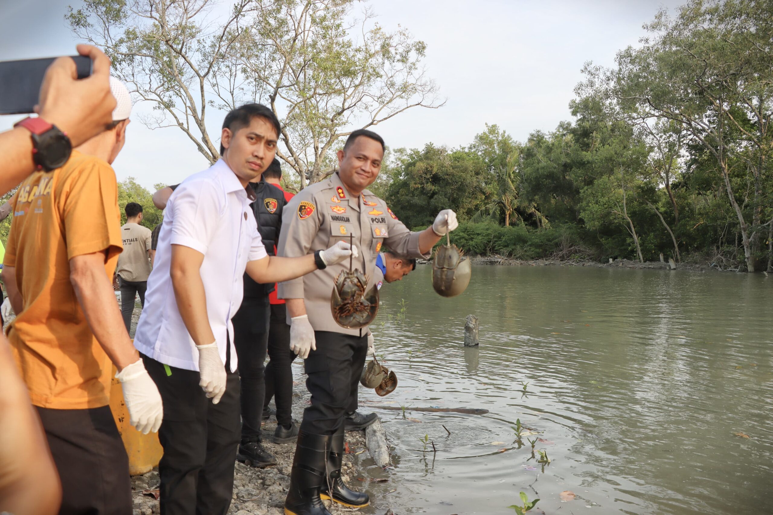 Tindak Tegas Pelaku Perdagangan Satwa Dilindungi, Polres Batu Bara Lepasliarkan Ratusan Belangkas ke Habitat Alami