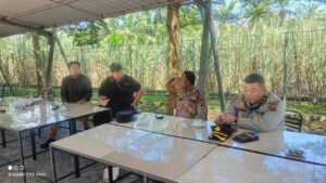 Kunjungan Kapal Pesiar Internasional Dongkrak Perekonomian Lokal Batu Bara, Ribuan Turis Nikmati Keindahan dan Budaya