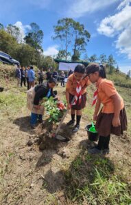 Kolaborasi Inalum dan PJT 1 untuk Konservasi Air, Hutan, dan Masa Depan Danau Toba
