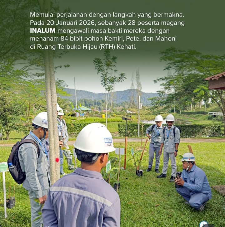 Awali Masa Bakti, Peserta Magang PT Inalum Tanam Pohon di Wilayah Danau Toba