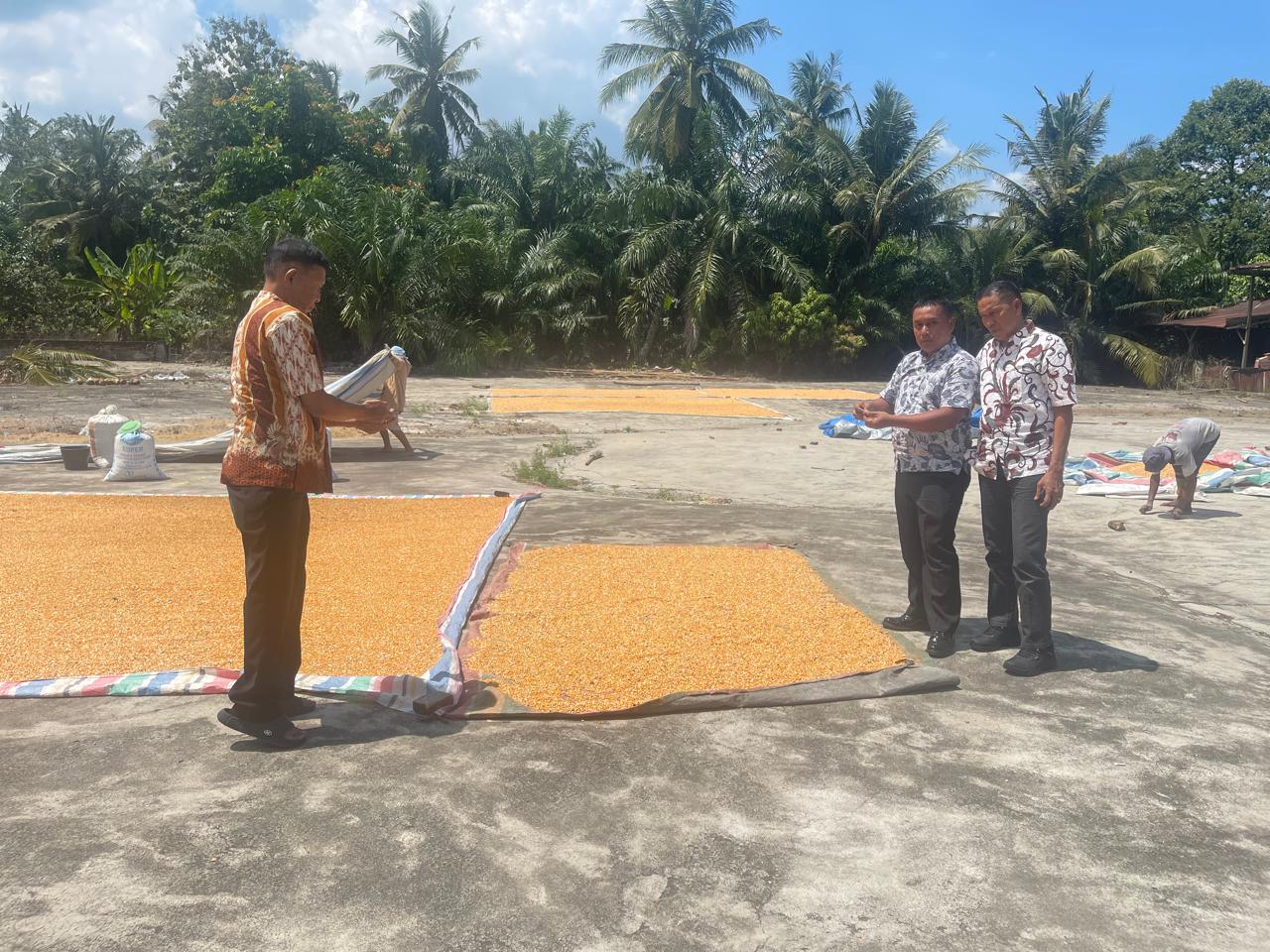 Polres Batu Bara Distribusikan Hasil Panen Jagung Tahap Pertama ke Bulog Asahan, Total Lebih dari 56 Ton